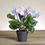 12" Potted White Cyclamen Artificial Floral Arrangement - IMAGE 2