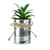 6" Green Tropical Artificial Mini Potted Plant - IMAGE 1