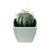 3.5” Mini Faux Green Cactus with Spikes in White Vase Table Top Decoration - IMAGE 1