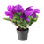 12" Purple Potted Artificial Cyclamen Floral Arrangement - IMAGE 1