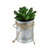 5” Artificial Pachyveria Succulent in Tin Can Planter with Twine Bow - IMAGE 2