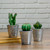3.5" Tropical Mini Artificial Cactus with Tin Pot - IMAGE 2