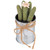 6" Green Artificial Mini Faux Columnar Cactus in Planter with Twine Bow - IMAGE 5