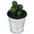 Mini Artificial Cactus in Tin Pot Tabletop Decoration - 3.5" - IMAGE 5