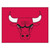 33.75" x 42.5" Red and White NBA Chicago Bulls All Star Mat - IMAGE 1