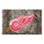19" x 30" Brown and Red NHL Detroit Red Wings Shoe Scraper Doormat - IMAGE 1