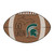 20.5" x 32.5" Brown and Green NCAA Michigan State University Spartans Mat Area Rug - IMAGE 1