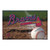 Red and White MLB Atlanta Braves Shoe Scraper Doormat 19" x 30" - IMAGE 1