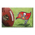 Red and Green NFL Tampa Bay Buccaneers Shoe Scraper Doormat 19" x 30" - IMAGE 1
