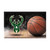 19" x 30" Black and Green NBA Milwaukee Bucks Shoe Scraper Doormat - IMAGE 1