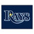 33.75" x 42.5" Blue and White MLB Tampa Bay Rays All Star Mat Rectangular Area Rug - IMAGE 1