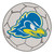 27" Gray and Blue NCAA University of Delaware Fightin' Blue Hens Soccer Ball Shaped Area Rug - IMAGE 1