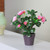 8" Pink Blooming Potted Artificial Rose Plant - IMAGE 3