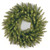 Pre-Lit Dunhill Fir Artificial Christmas Wreath – 24-Inch, Clear Lights - IMAGE 1