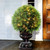 27" Upright Juniper Ball Topiary Tree in Urn - Prelit - IMAGE 2