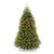 6.5’ Pre-Lit Dunhill Fir Artificial Christmas Tree – Clear Lights - IMAGE 1