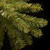 7.5’ Pre-lit Dunhill Fir Slim Artificial Christmas Tree - Clear Lights - IMAGE 3