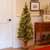 5’ Pre-Lit Potted Montclair Spruce Christmas Tree, Clear Lights - IMAGE 2