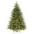 7.5’ Pre-Lit Full Frasier Grande Artificial Christmas Tree, Clear Lights - IMAGE 1