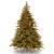 6' Pre-lit Frasier Grande Full Artificial Christmas Tree, Dual Color LED Lights - IMAGE 1