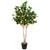 Artificial Lemon Tree In Black Pot with Faux Moss - 45" - IMAGE 2