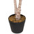 Artificial Lemon Tree In Black Pot with Faux Moss - 45" - IMAGE 6