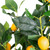 Artificial Lemon Tree In Black Pot with Faux Moss - 45"
