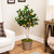 Artificial Lemon Tree In Black Pot with Faux Moss - 45" - IMAGE 1