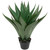 Real Touch™️ Artificial Green Agave Americana Succulent Potted Plant - 26" - IMAGE 3