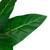 Artificial Bird of Paradise Plant in a Black Pot - 50" - IMAGE 6