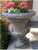 Ram Head Outdoor Garden Urn Planters - 37" - Saddle Stone Finish - Set of 2 - IMAGE 1