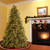 7.5’ Pre-Lit Tiffany Fir Artificial Christmas Tree, Clear lights - IMAGE 2