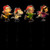 Lighted Snoopy and Peanuts Ice Skating Christmas Pathway Markers - Clear Lights - Set of 4 - IMAGE 3