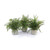 Set of 3 Potted Artificial Fern Plants 14" - IMAGE 1