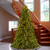 9’ Pre-Lit Full Tiffany Fir Artificial Christmas Tree, White lights - IMAGE 2