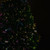 Pre-Lit Color Changing Fiber Optic Artificial Christmas Tree - 3' - Multi-color Lights - IMAGE 5