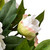 Blooming Peony Flower Artificial Potted Plant - 31" - White and Pink - IMAGE 5