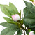 Blooming Peony Flower Artificial Potted Plant - 31" - White and Pink - IMAGE 6