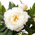 Northlight 31" Blooming Peony Flower Artificial Potted Plant - Green/White