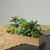 11.5" Artificial Mixed Succulent Plants in a Wooden Planter Box - IMAGE 2