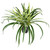 Artificial Two Toned Potted Spider Plant - 13" - IMAGE 5