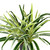 Artificial Two Toned Potted Spider Plant - 13" - IMAGE 6