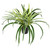 Artificial Two Toned Potted Spider Plant - 13" - IMAGE 2