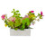 14-Inch Pink and Yellow Artificial Roses and Peony Floral  Arrangement in Planter - IMAGE 5