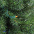 Pre-Lit Medium Canadian Pine Artificial Christmas Tree - 2' - LED Multicolor Lights - IMAGE 5