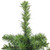 Medium Canadian Pine Artificial Christmas Tree - 18" - Unlit - IMAGE 4