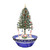 6.25' Pre-Lit Medium Musical Snowing Rotating Santa Artificial Christmas Tree - Blue LED Lights - IMAGE 1