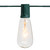 Edison Style Patio Light Set - Clear - 12" Spacing - Green Wire - 10ct