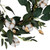 White Cotton Flowers with Foliage Spring Twig Wreath - 18" - Unlit - IMAGE 4