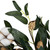 White Cotton Flowers with Foliage Spring Twig Wreath - 18" - Unlit - IMAGE 6